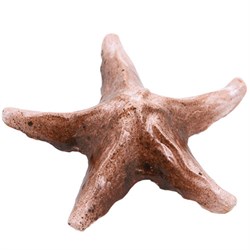 Декор Звезда малая 11,5х11,5х3,5см STAR из белой глины керамика для аквариума - фото 11676
