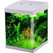 Аквариум HD-250 /25х27х30см/ белый (HD250) Аквариум HD-250 /25х27х30см/ белый (HD250)