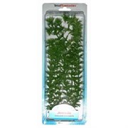 Растение 15см Амбулия Tetra (606159/270145) Растение 15см Амбулия Tetra (606159/270145)