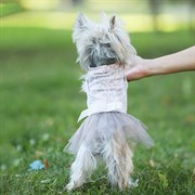 Платье 35М JOY кружево для собак